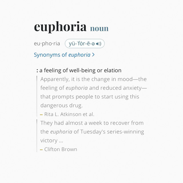 Album cover for euphoria